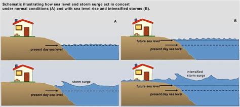 2 Effects of storm surges and storm surges coupled with SLR. (Source ...