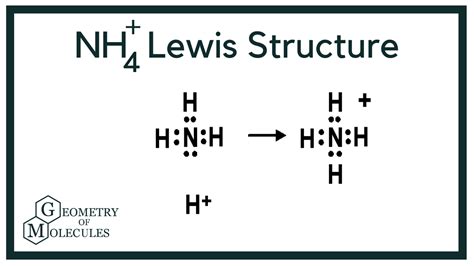 NH4+ Lewis Structure