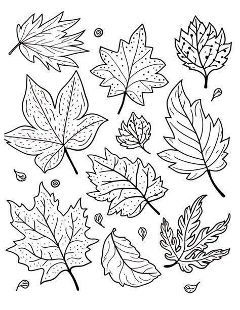 Fall Leaves Coloring Pages For Kindergarten - Infoupdate.org