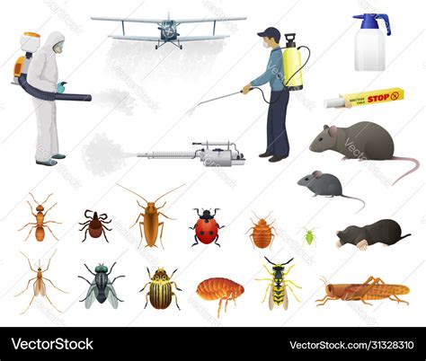 Disinfection pest control insects extermination Vector Image