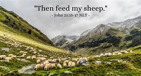 Prayers for the Week: Feed my Sheep