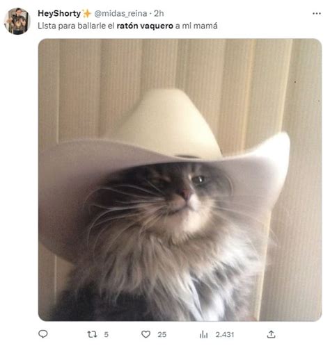 Los mejores 10 memes del Ratón Vaquero por el 10 de mayo