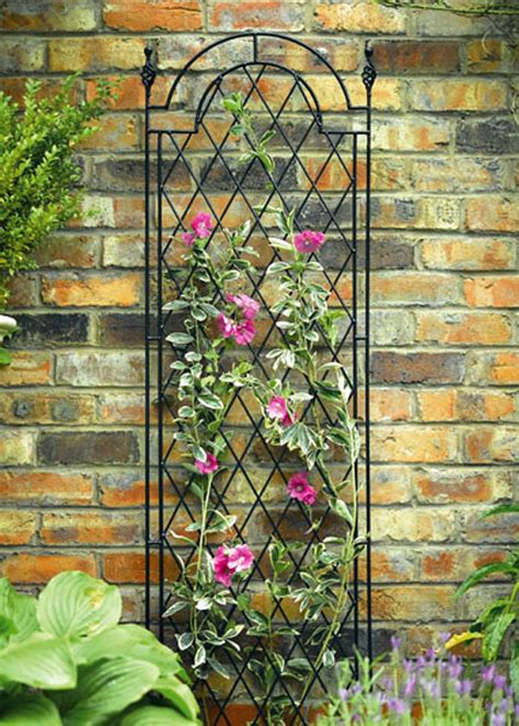 Decorative Metal Wall Trellis | Shelly Lighting