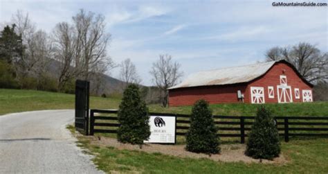 Yonah Mountain Vineyards Cleveland GA | Ga Mountains Guide