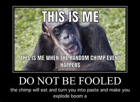 Random Chimp Event | Know Your Meme