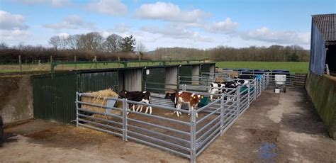 Calf Pens - Clipex - Available Widths 1m, 1.5m, 2.2m & 3m