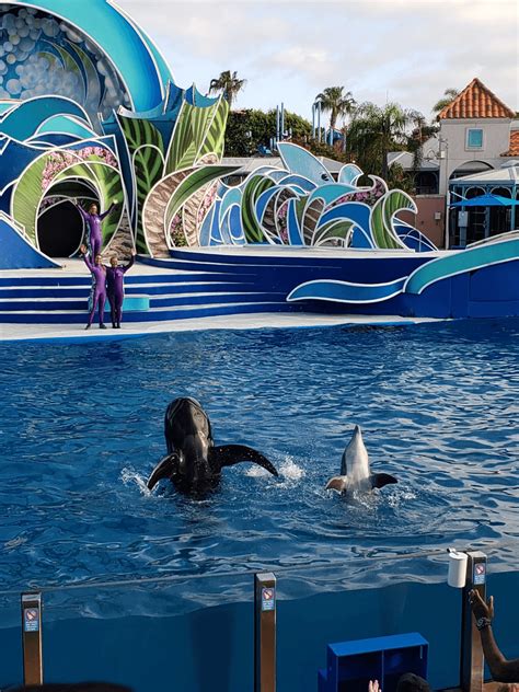 Discount SeaWorld San Diego Tickets | Tripster