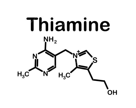 Premium Vector | Chemical formula of thiamine. Vitamin B1.