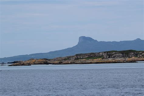 Isle of Eigg | Wildlife in Lochaber, Ardnamurchan and The West Highlands