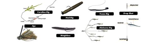 Rigging For Success: Best Bass Fishing Rigs And Techniques