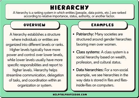 15 Hierarchy Examples (2024)