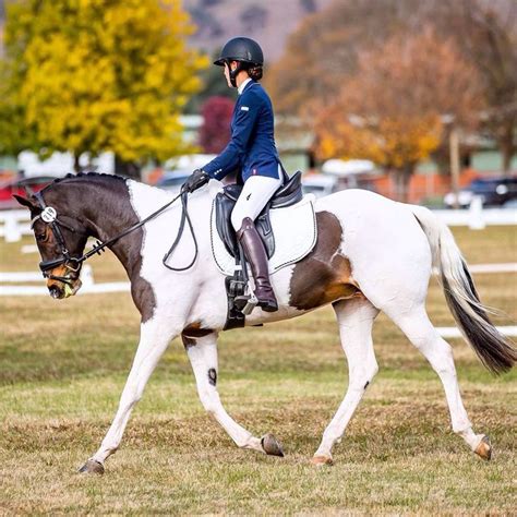 when you actually have nice photos from a bad dressage test 😂👍 ...