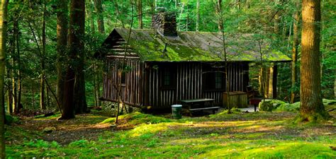 Cabins at Holly River State Park - West Virginia State Parks