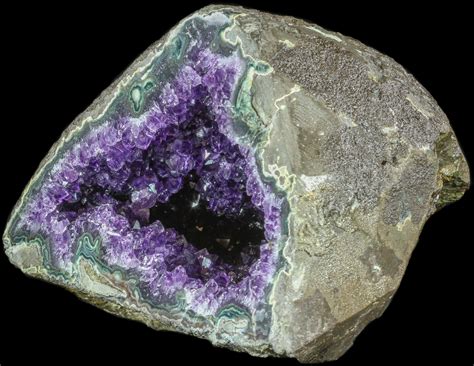 9.2" Amethyst Crystal Geode - Uruguay For Sale (#50199) - FossilEra.com