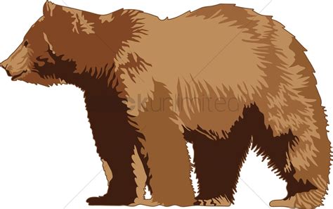 Grizzly Bear Vector at GetDrawings | Free download