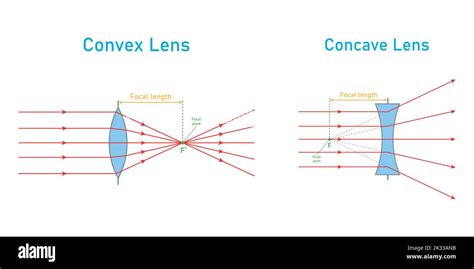 Concave convex lens Stock Vector Images - Alamy