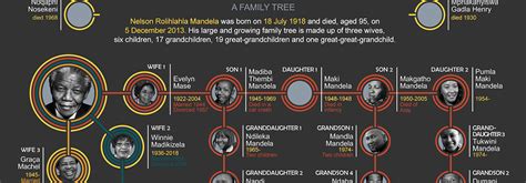 Nelson Mandela Family Tree Infographic South Africa Gateway