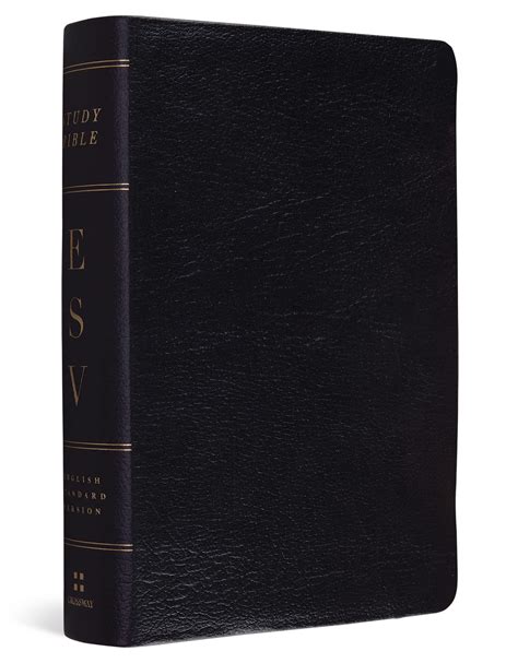 ESV Study Bible - Leather Bound | Coffee & Bible Time