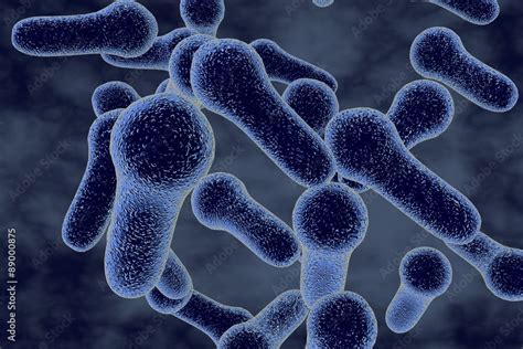 Clostridium Tetani Bacteria