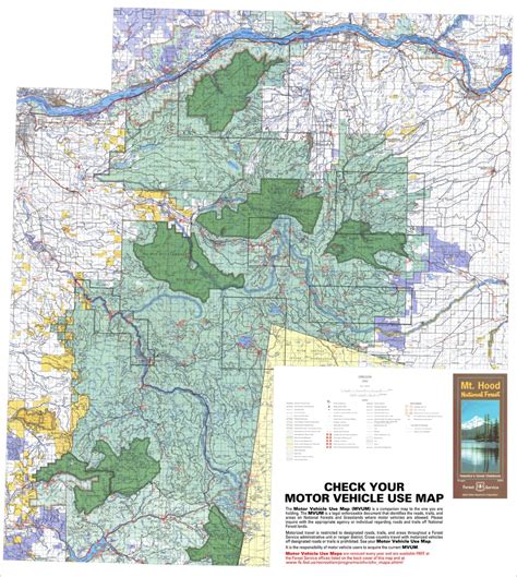 Mt Hood National Forest Map - Vector U S Map