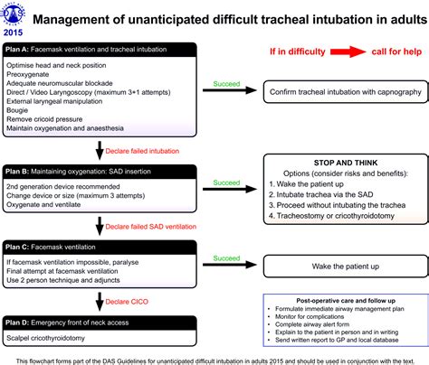 Neonatal Intubation Checklist Clipart