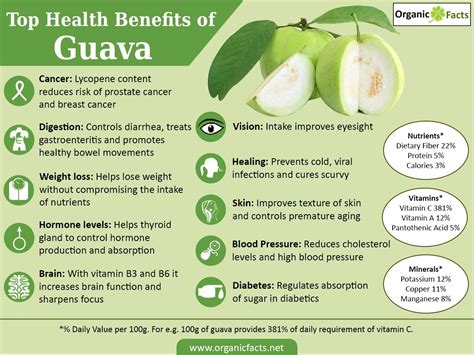 Health Benefits of Guavas | Nikki Kuban Minton