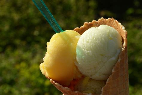 Recette du sorbet au citron maison