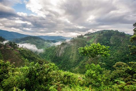 Národní park Bwindi - Uganda | Cestujlevne.com