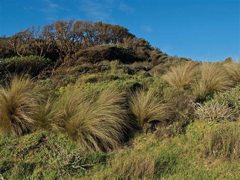 Cape Conran Coastal Park, Attraction, Gippsland, Victoria, Australia