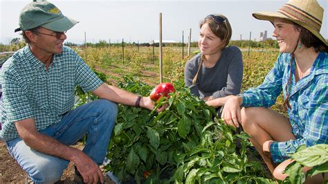 Agricultural Education Major | Admissions | Colorado State University