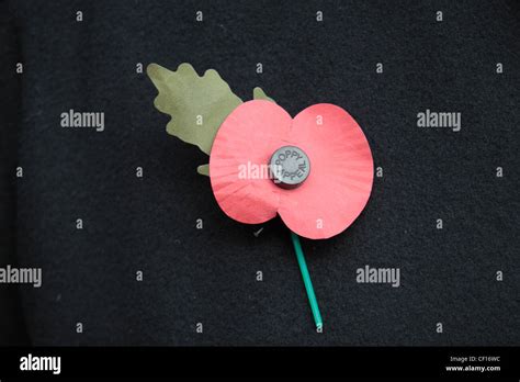 Poppy remembrance hi-res stock photography and images - Alamy