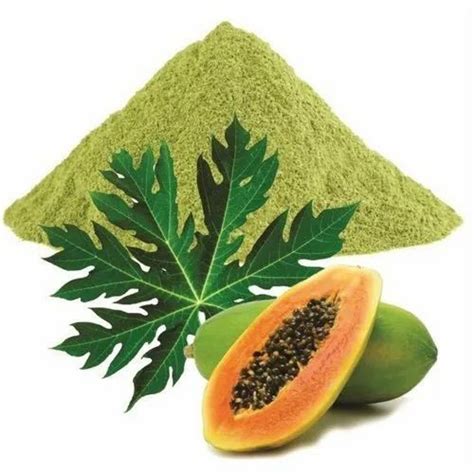 Brown Spray Dried Powder Papaya Leaf Extract, Dried: Spd, Packaging ...