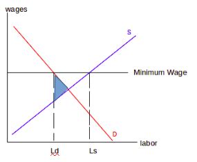 Explain why the minimum wage creates deadweight loss. Use a diagram to ...