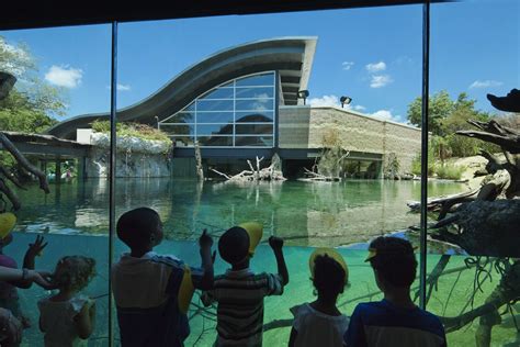 Fort Worth Zoo Museum of Living Art - Architizer