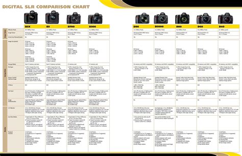 Nikon DSLR comparison chart by patrizio pompo - Issuu