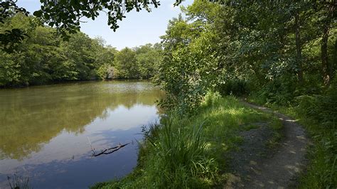 Bayard Cutting Arboretum State Park | The Cultural Landscape Foundation