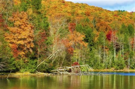 Autumn Colors Along the Shore of Bays Mountain Lake Stock Photo - Image ...