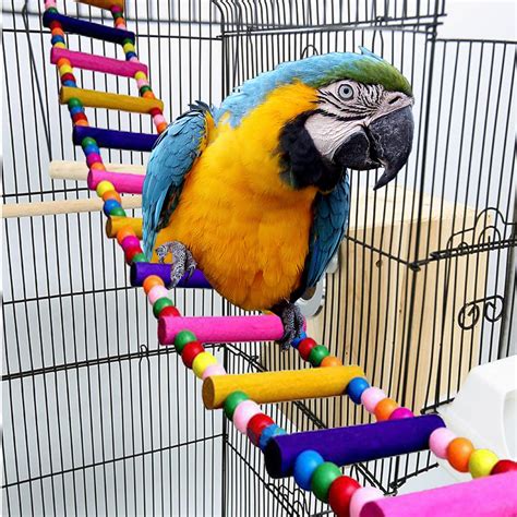 10 Best Bird Cage Accessories: Enhance Your Bird's Habitat ...