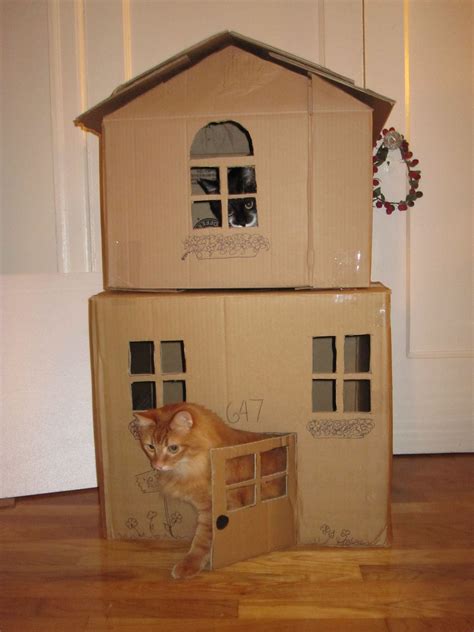 Pin by Autumn Lijewski on Pets | Cardboard cat house, Cat house diy ...