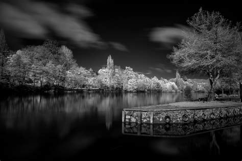 Brief History of Infrared Film Photography — Focal Collective