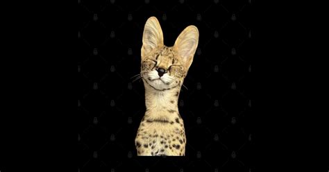 Sogga My Beloved Serval Meme Cat Meme - Sogga My Beloved - Hoodie ...