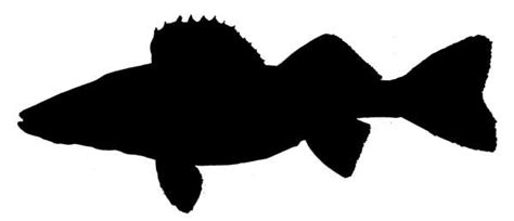 walleye silhouette prints | Fish Silhouette 2 | Fish silhouette ...