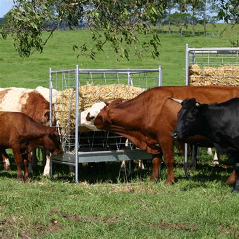 Cattle Equipment - Cavalier Livestock Equipment