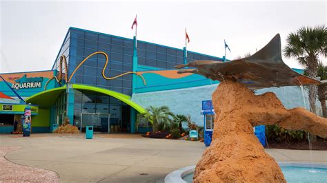 Ripley's Aquarium in Myrtle Beach, South Carolina | Expedia.ca