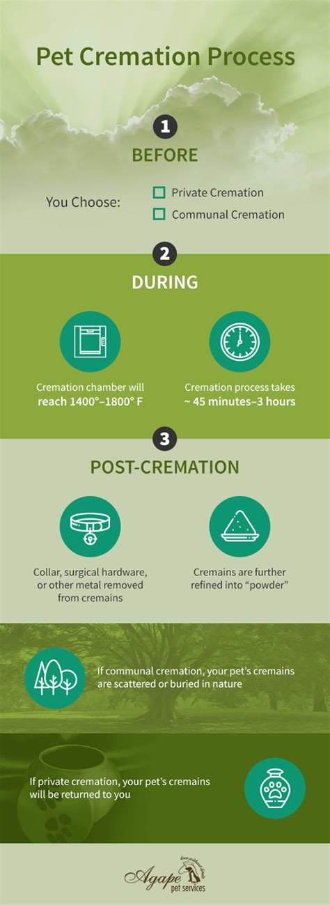 Guide to Pet Cremation | How it Works & What To Expect | Agape