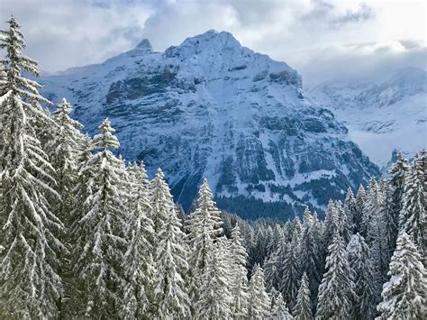 Winter hiking in Grindelwald, Switzerland: a photo gallery - Kessi World