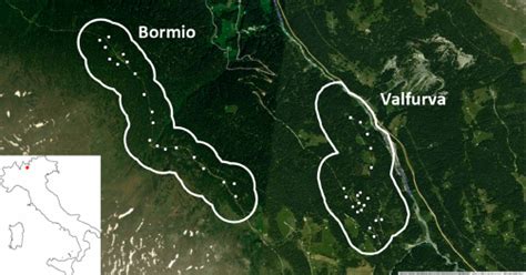 Map of the two study areas in Stelvio National Park. Dots indicate ...