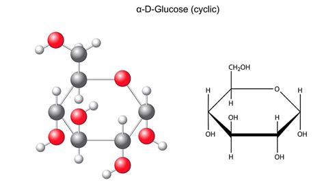 Glucose | alimentarium