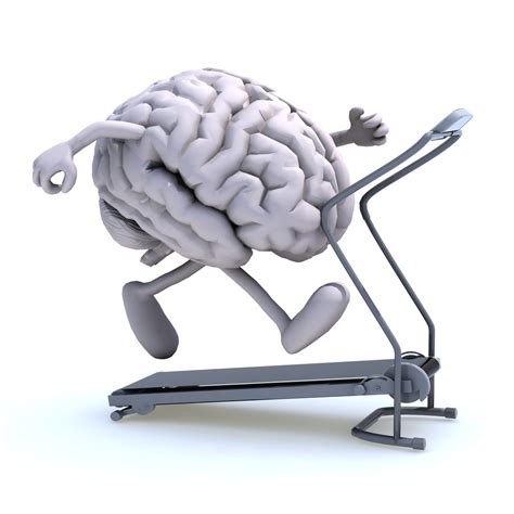 Neuroplasticity Exercises - Brain Workouts to Enhance Performance