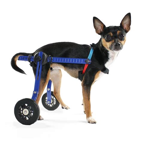 Walkin' Wheels Dog Wheelchair - XS for Mini/Toy Breeds 2-10 Pounds ...